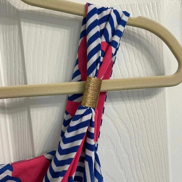 Tracy Negoshian Small Seahorse Rhianna Horsn' Around tank Chevron Dress - Picture 4 of 6